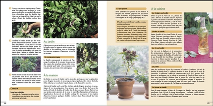 50 plantes utiles