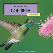 Interview d'un éleveur passionné de Colibris – Les Oiseaux du Monde