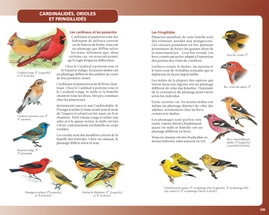 Le guide Paquin-Caron des oiseaux du Québec et des Maritimes (cart.)