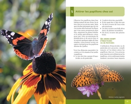 Papillons et chenilles du Québec et des Maritimes (souple)